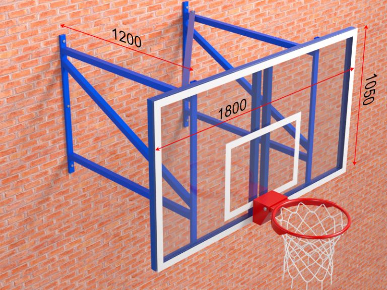 ferma-basketbolnaya-s-shchitom-i-kolcom19