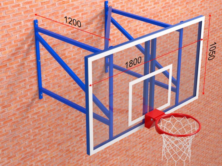 ferma-basketbolnaya-s-shchitom-i-kolcom5