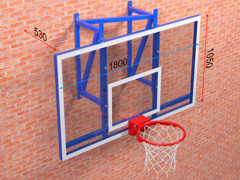 ferma-basketbolnaya-s-shchitom-i-kolcom7