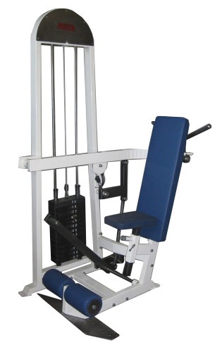 francais_gym6-2