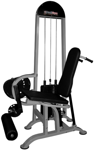 kvadriceps-biceps-bedra