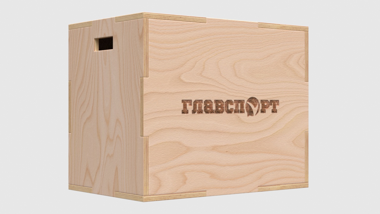 pliobox-1