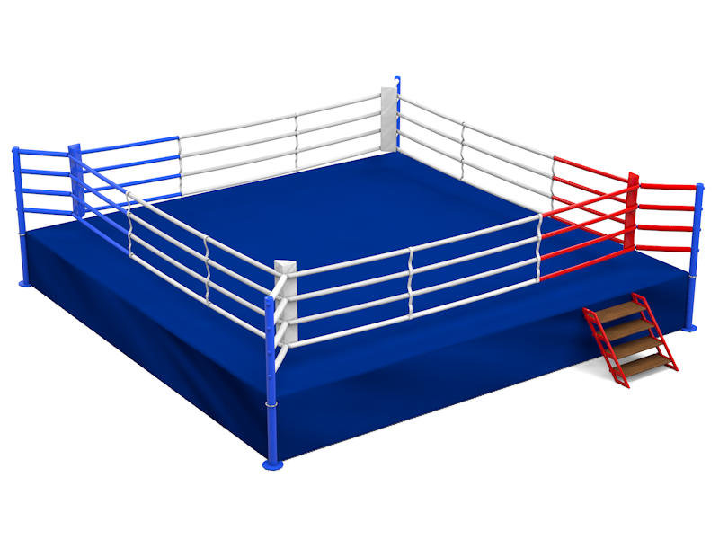 ring-bokserskij-na-podiume-_51_1-10