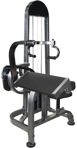 triceps_mashina