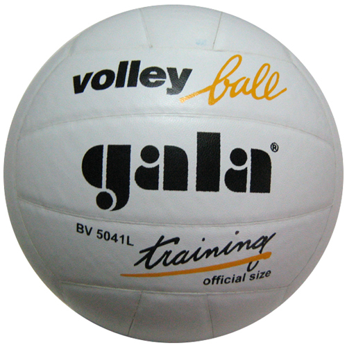 Мяч-волейбольный-GALA-Training.кожа